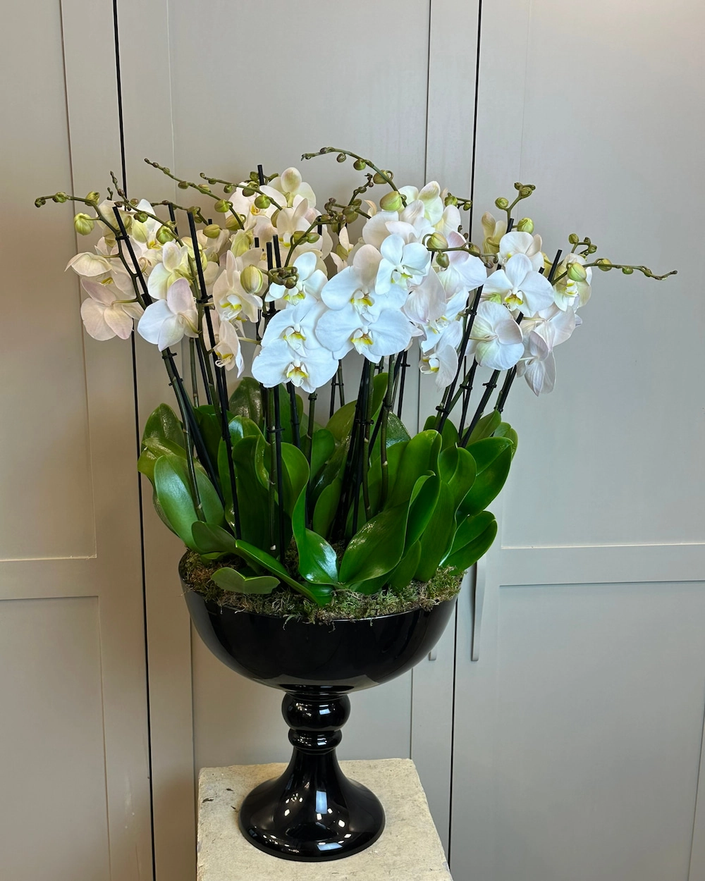 18 Dallı Orkide Arajmanı