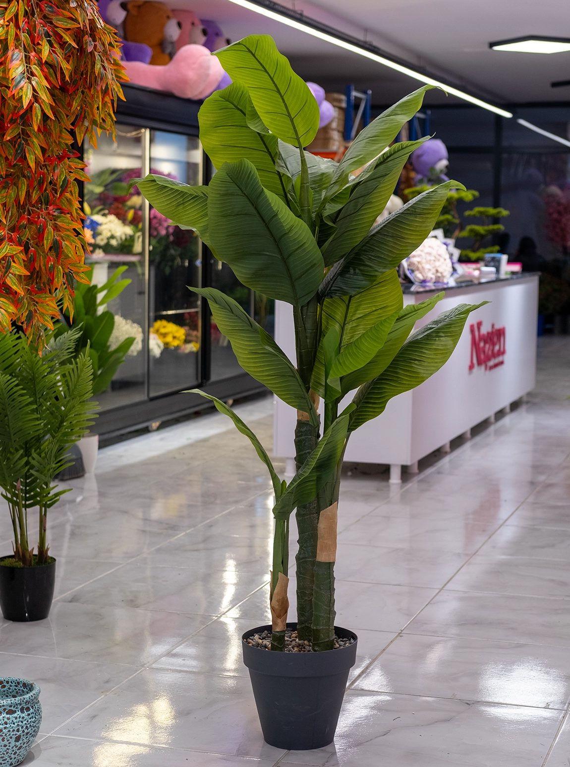 Saksıda Yapay 3 Gövdeli Muz Ağaç  155 Cm 