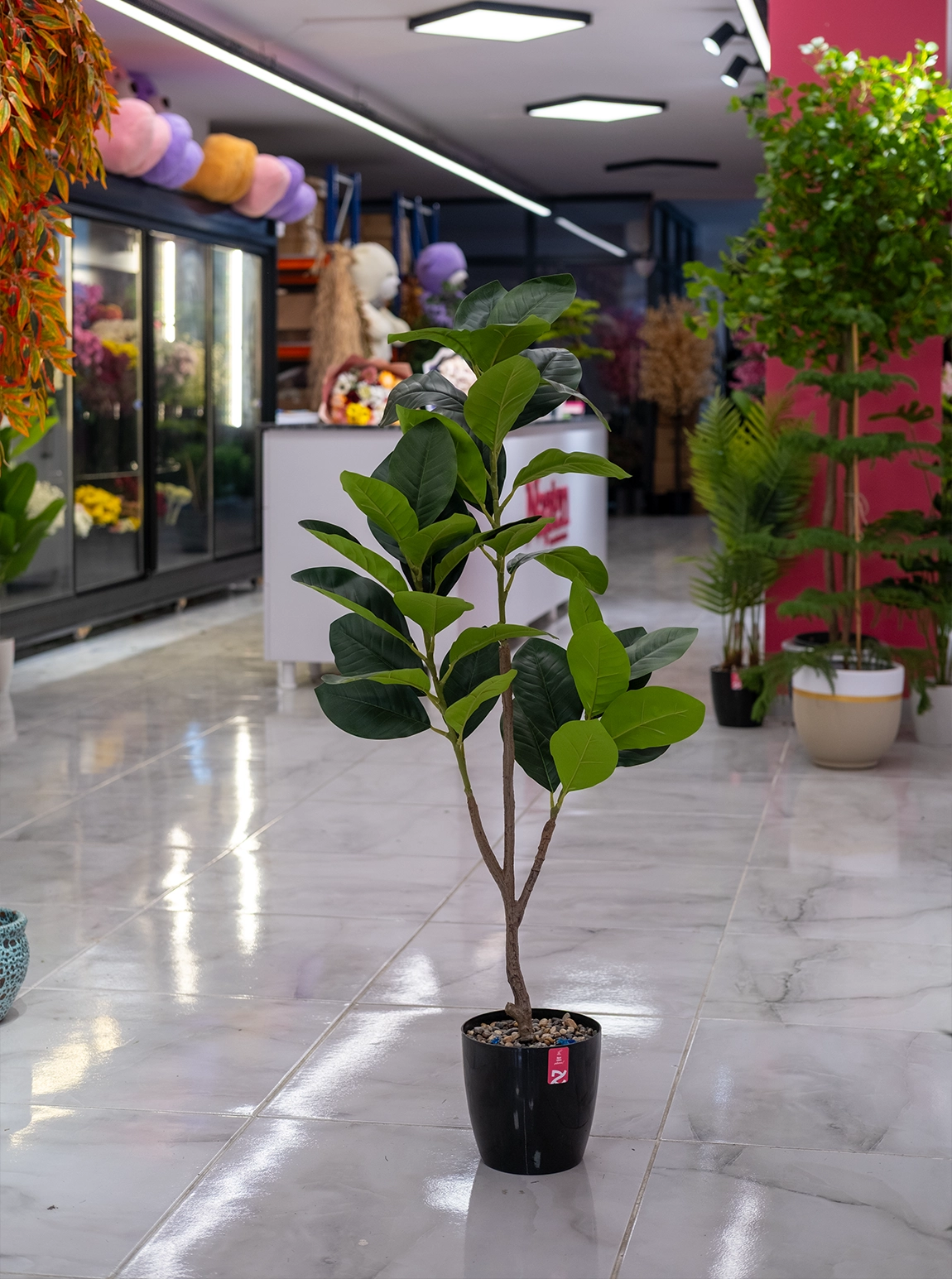 Saksıda Yapay Islak Kauçuk Ağaç  100 Cm 