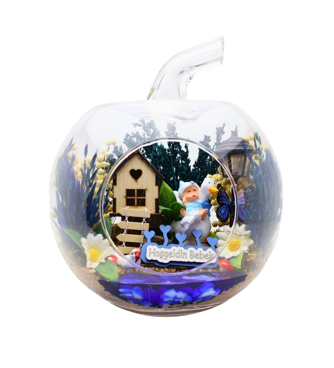 Yeni Doğan Erkek Bebek Orta Elma Teraryum