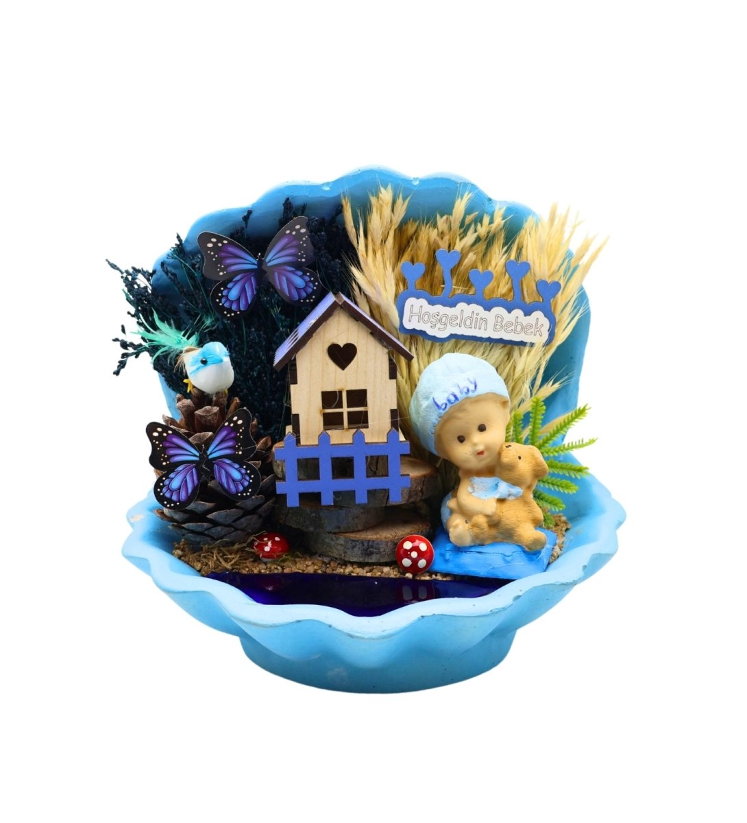 Yeni Doğan Erkek Bebek İstiridye Teraryum