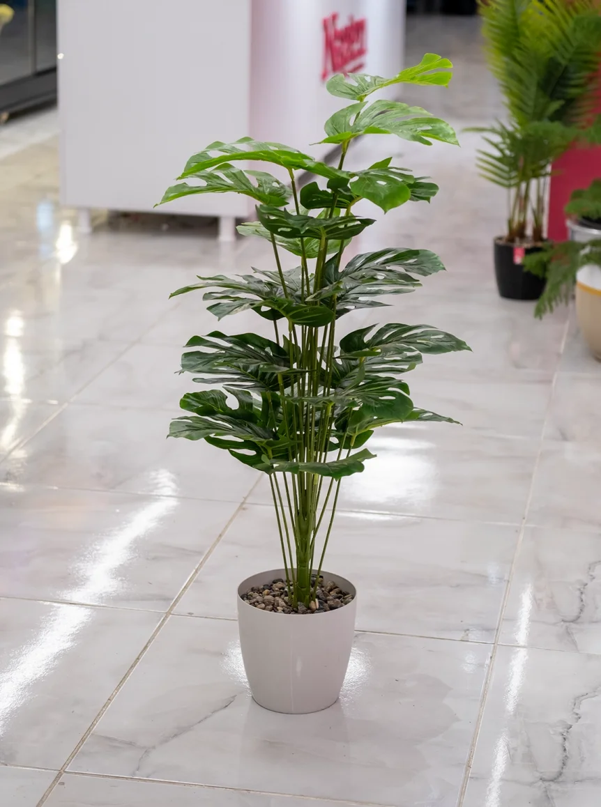 Saksıda Yapay Deve Tabanı Ağaç  100 Cm 