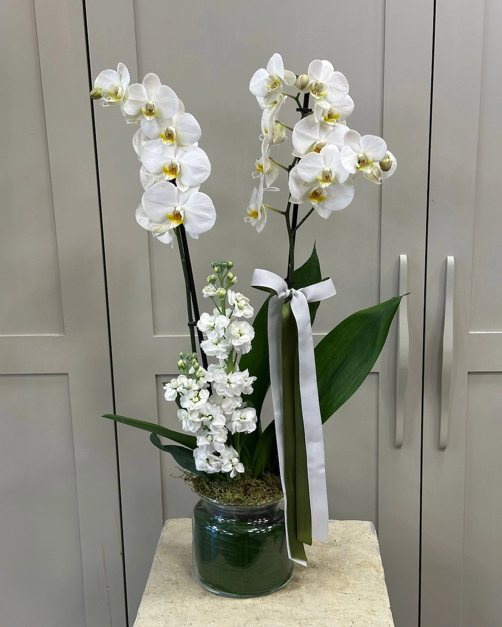 Vazoda Çift Dallı Beyaz Orkide